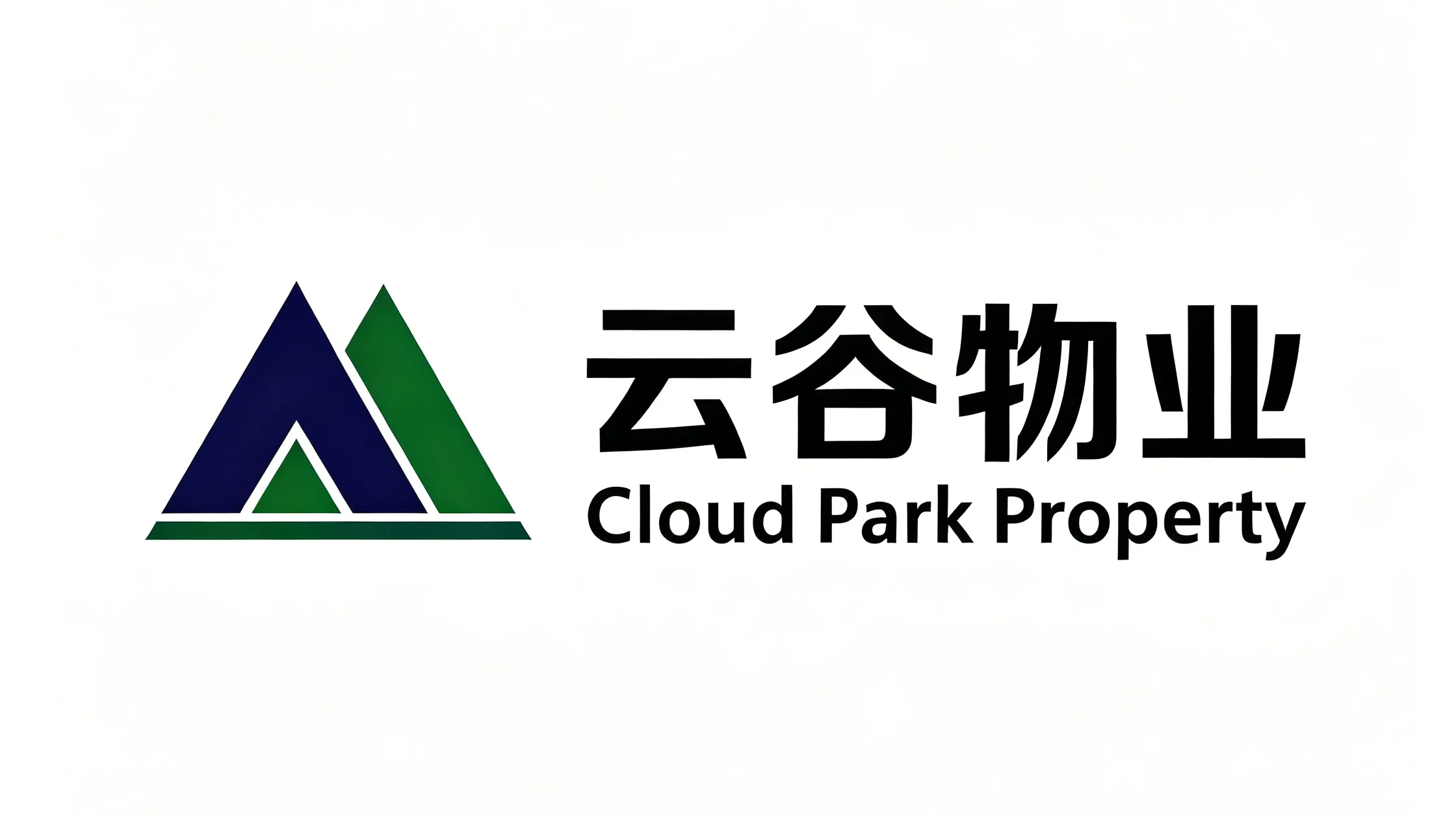 战略客户案例2